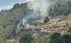 Bursa’da orman ve tarım arazisi yangını