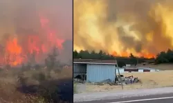 Çanakkale’de orman yangını: Alevlere havadan ve karadan müdahale ediliyor