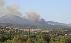 Çanakkale'de orman yangını: Ekipler alevlere müdahale ediyor