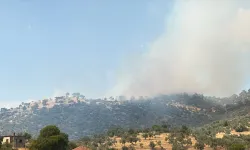 Çine’de orman yangını: Havadan ve karadan müdahale sürüyor