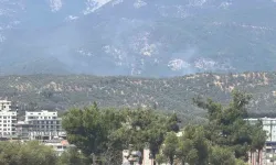 Edremit’te orman yangını: Ekipler müdahaleyi sürdürüyor