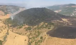 Elazığ'daki orman yangını kontrol altına alındı
