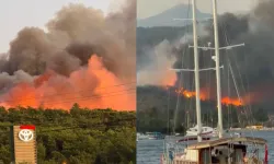 Fethiye’de orman yangını paniği