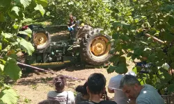 Fındık bahçesine giderken traktör kazası: 1 ölü