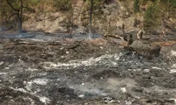 Fransa'da orman yangını büyüyor: 1100 hektar küle döndü