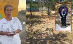 Gülay Akgün Mutlu cinayetinde flaş gelişme: Ağabeyi dahil 5 şüpheli tutuklandı
