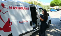 7/24 görev başında: Kuşadası’nın Haybulans araçları can dostlara umut oluyor