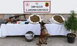 İzmir’de iki ayrı operasyon: Gözaltılar var!