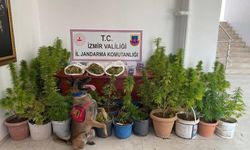 İzmir’de zehir tacirlerine operasyon: 3 şüpheli tutuklandı!