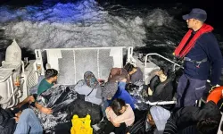 Kaçak göçmenleri araçtan indirip kaçtı: Sürücü gözaltına alındı!