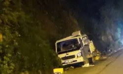 Kontrolden çıkan kamyonet kaza yaptı; yolcu konumundaki kişi öldü