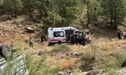 Takla atan kamyonet şarampole yuvarlandı; sürücü kazada hayatını kaybetti