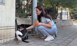 Kan donduran olay: Sokak kedisinin başını ve ayaklarını kesip apartman önüne bıraktılar!