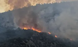 Kaş’ta orman yangını: Havadan ve karadan müdahale sürüyor