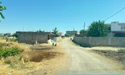 Kedinin ısırdığı 4 yaşındaki çocuk entübe edildi: Kuduz testi pozitif çıktı