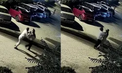 Kucağında çocuğu varken eşinin silahlı saldırısına uğrayan kadın hayatını kaybetti