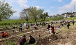 Mahalle Bostanları büyüyor: Yeni bostan Buca'ya geliyor