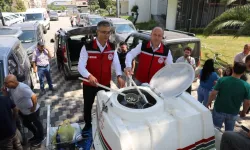 İzmir'de yetişen pullu yavru sazanlar Manisa'da göle bırakıldı