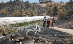 Muğla Büyükşehir, Seydikemer’de yangının yaralarını sarıyor