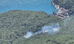 Muğla'da orman yangını: Ekipler havadan ve karadan müdahale ediyor