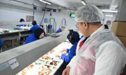 Organik tarıma yerinde inceleme