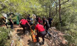 Ormanlık yolda yüksekten düşen Faruk Aldemin hayatını kaybetti