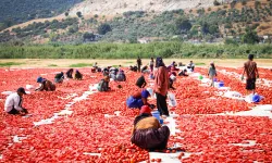 Torbalı’nın kuru domates emekçileri yalnız bırakılmadı