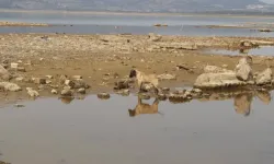 Türkiye’de yağış arttı, İzmir’de çok düşük kaldı