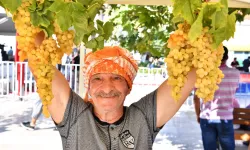 Urla’da 2600 yıllık gelenek yeniden canlanıyor: Bağbozumu başlıyor