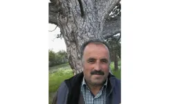 Üzerine ağaç devrilen Ergül Saraçoğlu hayatını kaybetti