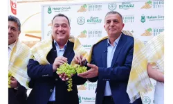 Üzümün başkentinde Bağbozumu Şenliği başlıyor