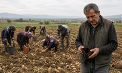 Ürün para etmiyor, toprak elden gidiyor