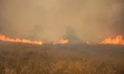 Yunanistan’daki yangında acı bilanço: 2 ölü, 5 yaralı