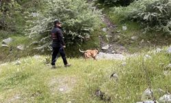 11 aylık Büşra bebek kayboldu: Ekipler seferber oldu!