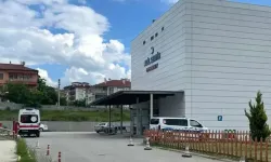 Arı sokan orman işçisi hayatını kaybetti
