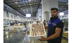 Balıkçılar sezona hızlı başladı: Ağlar doldu, yüzler güldü