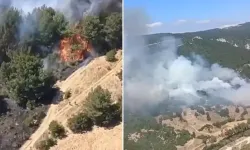Balıkesir’de alevler ormana sıçradı