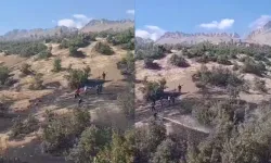 Beytüşşebap'ta orman yangını: Ekipler alevlerle mücadele ediyor