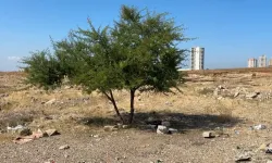 35 yaşındaki şahıs boş arazide ölü halde bulundu