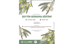 Buca Belediyesi’nden üreticilere zeytin budama eğitimi
