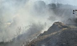 Büyükçekmece sahilinde korkutan yangın: Ekipler sevk edildi!