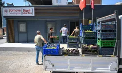 Dayanışma Tarlası'nın ürünleri Bornovalılara dağıtılıyor