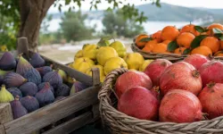 Ege’de sonbaharın meyveleri tezgâhlardaki yerini alıyor