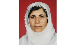 Eve giren maskeli saldırganlar 70 yaşındaki kadını darbetti