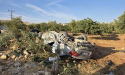 Feci kaza: Otomobil fıstık tarlasına uçtu, 1 kişi öldü, 6 kişi yaralandı