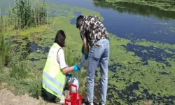 Gediz Nehri’nde yaz aylarında kirlilik yeniden arttı