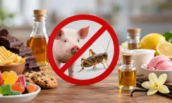 Gıdalarda domuz ve böcek kaynaklı aroma vericiler yasaklandı