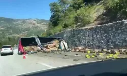 Tır, istinat duvarına çarptı: Sürücü hayatını kaybetti, oğlu ise yaralandı