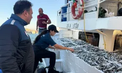 İzmir’de 3 günlük denetimde 2,2 ton hamsiye el konuldu