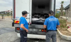 İzmir’de kaçak avlanan 3 ton mavi yüzgeçli orkinos ele geçirildi